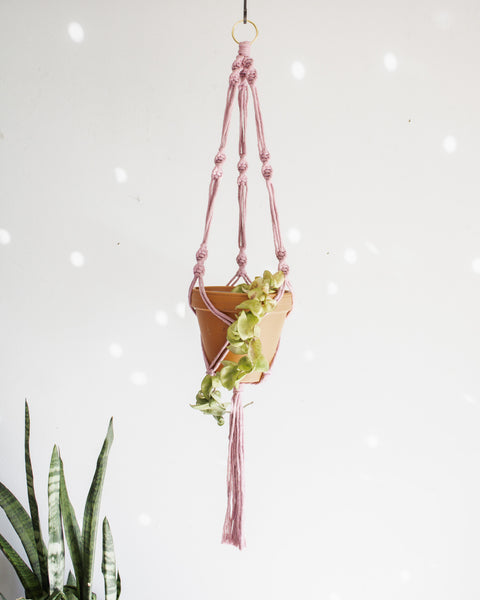 Simple Twist Macrame Plant Hanger