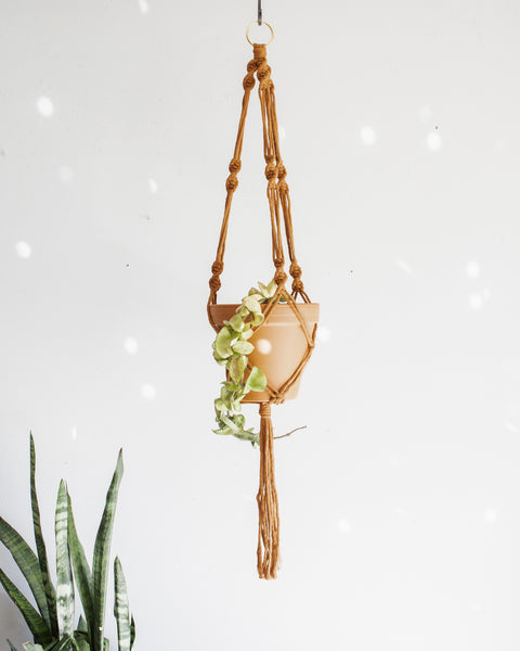 Simple Twist Macrame Plant Hanger