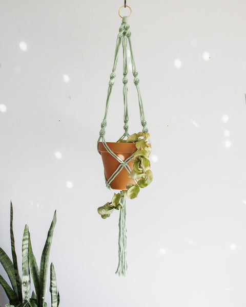 Simple Twist Macrame Plant Hanger