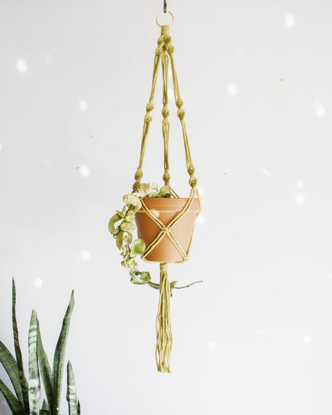 Simple Twist Macrame Plant Hanger