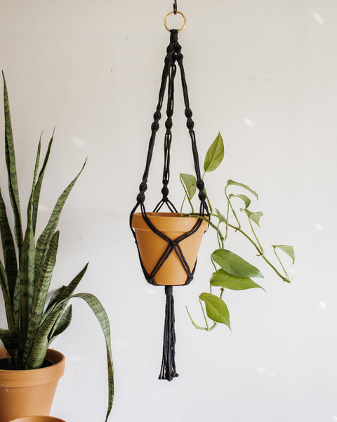 Simple Twist Macrame Plant Hanger