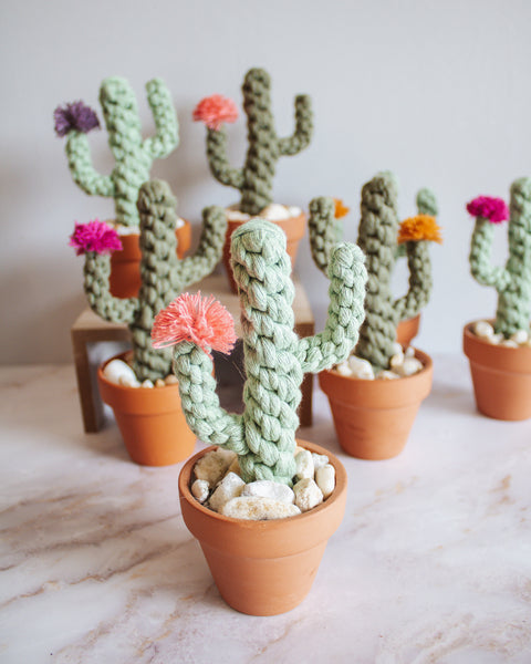 Macrame Potted Cactus