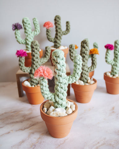 Macrame Potted Cactus