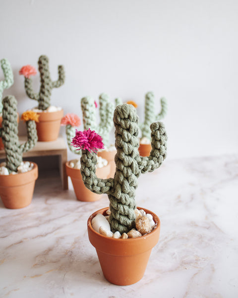 Macrame Potted Cactus