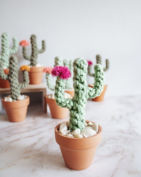 Macrame Potted Cactus