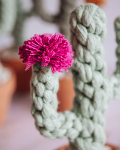 Macrame Potted Cactus