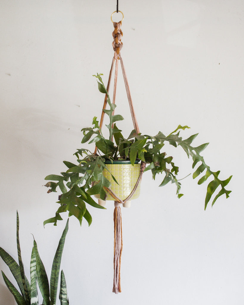 two color macrame plant hanger Multicolor Chunky Twist Macrame Plant Hanger Modern Boho Home Decor – Modern Bo Studio