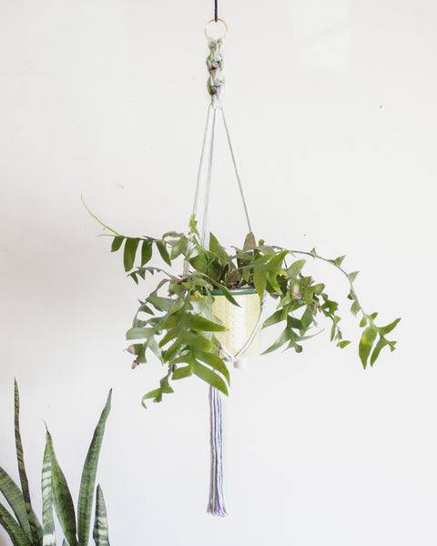 Chunky Twist Plant Hanger - Multicolor