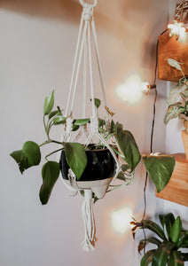 Medium Boho Plant Hanger