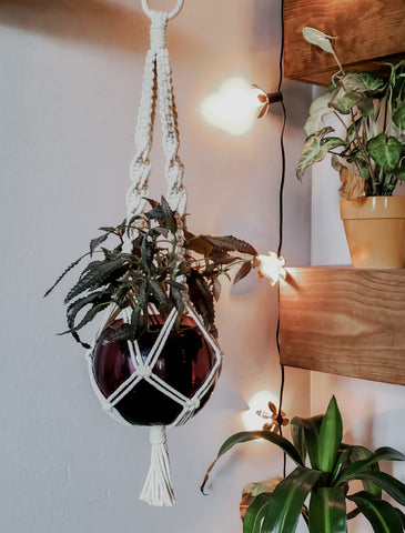 Macramé Twist Plant Hanger