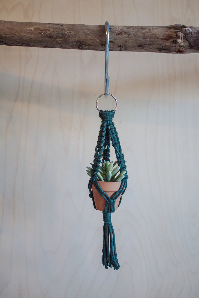 mini car plant hanger Mini Macrame Plant Hanger Boho Car Accessory Faux Succulent – Modern Bo Studio