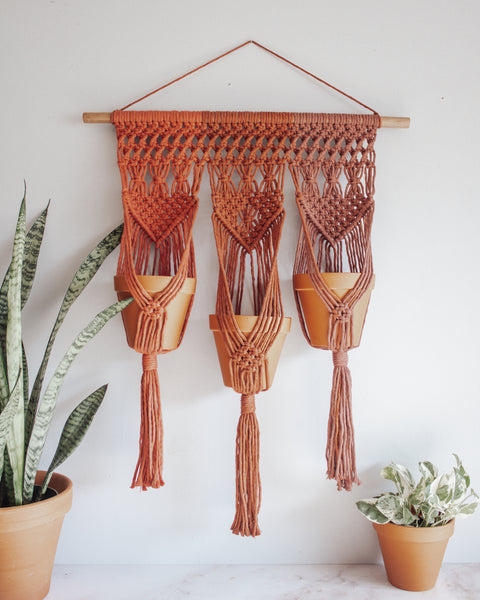 Tri-Colored Triple Plant Hanger