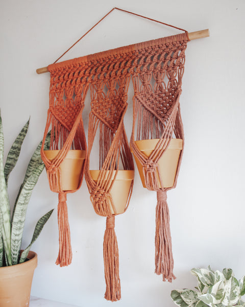 Tri-Colored Triple Plant Hanger