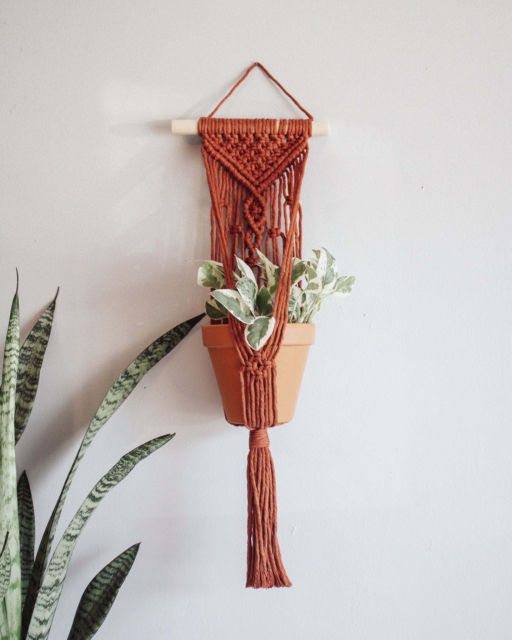 Wall Plant Hanger - "Rust"