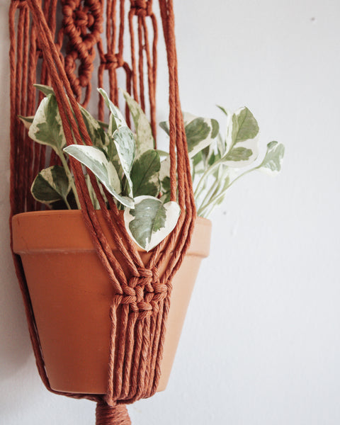 Wall Plant Hanger - "Rust"