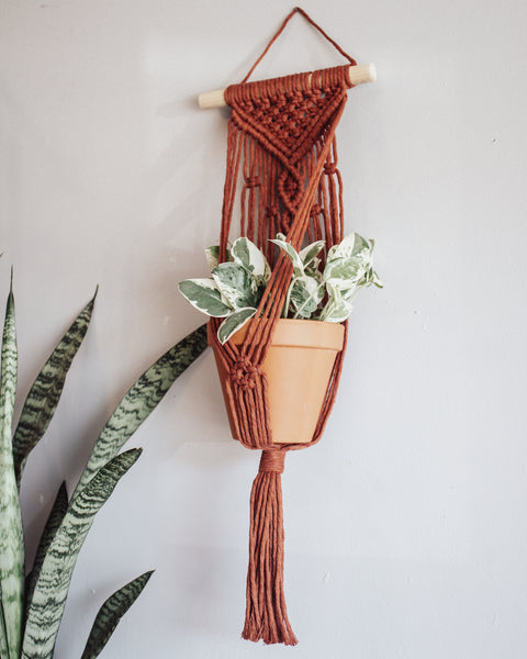 Wall Plant Hanger - "Rust"