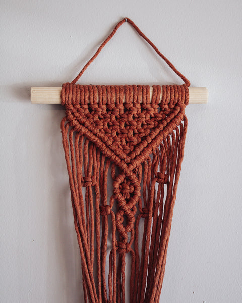 Wall Plant Hanger - "Rust"