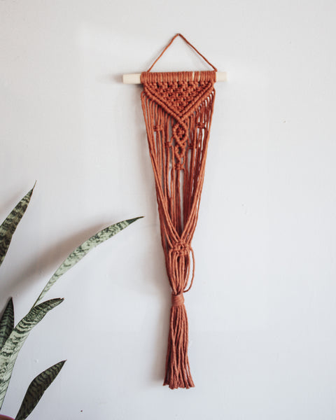 Wall Plant Hanger - "Rust"