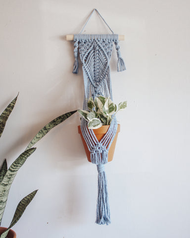 Wall Plant Hanger - "Powder Blue"