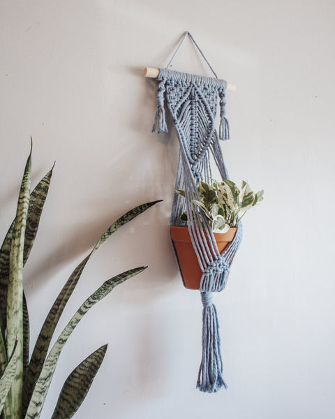 Wall Plant Hanger - "Powder Blue"