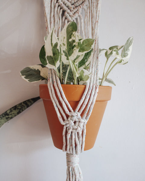 Wall Plant Hanger - "Confetti"