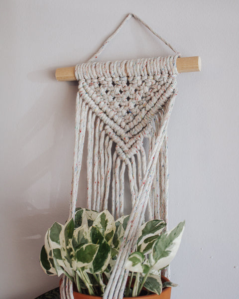 Wall Plant Hanger - "Confetti"