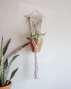 Wall Plant Hanger - "Confetti"