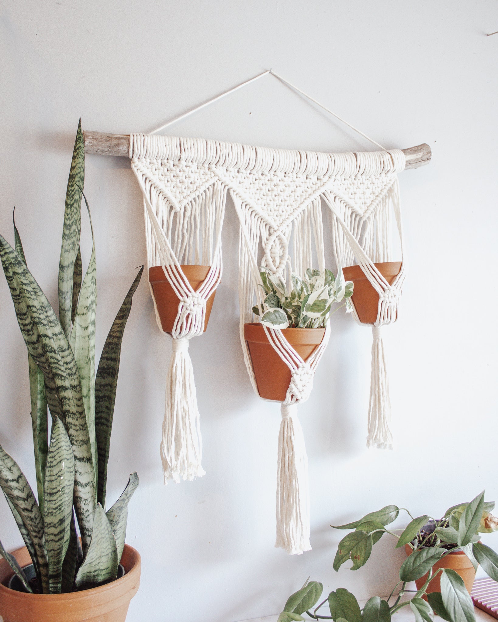 macrame triple plant hanger Triple Plant Hanger Boho Classic White Macrame on Driftwood Recycled – Modern Bo Studio