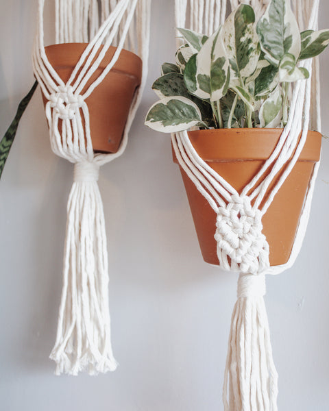 Triple Plant Hanger