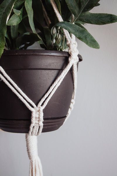 Beaded Twist Macramé Plant Hanger