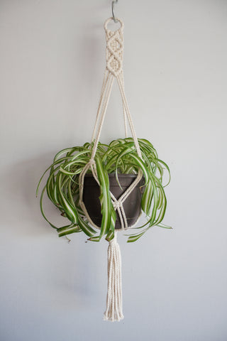 Diamond Top Macramé Plant Hanger