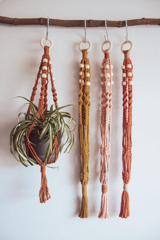 Desert Beaded Twist Macramé Plant Hanger