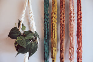 Boho Twist Macramé Twist Plant Hanger