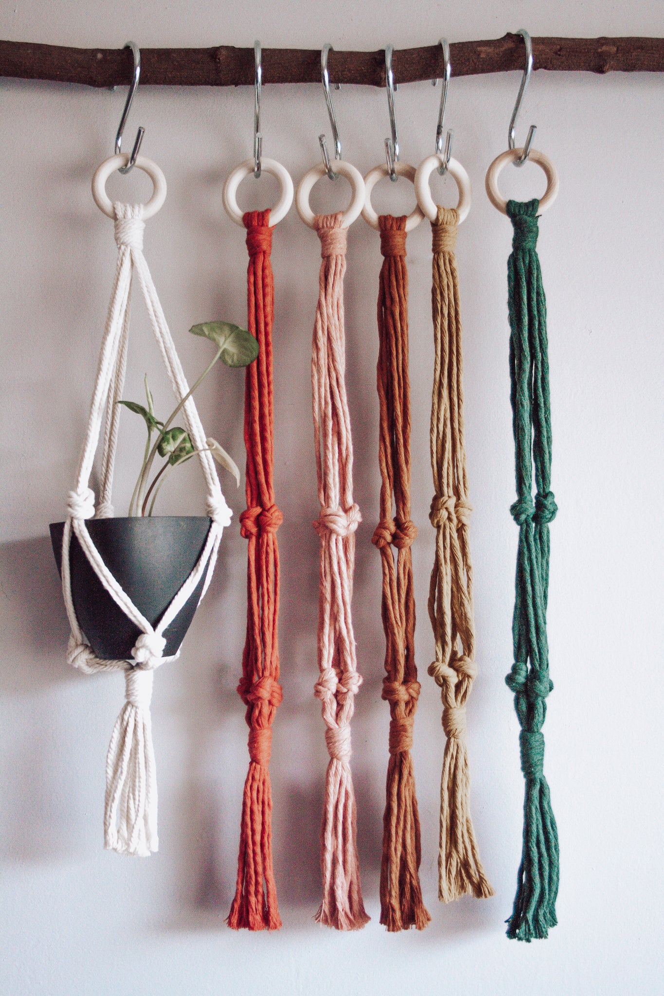 Knotted Small Macramé Plant Hanger