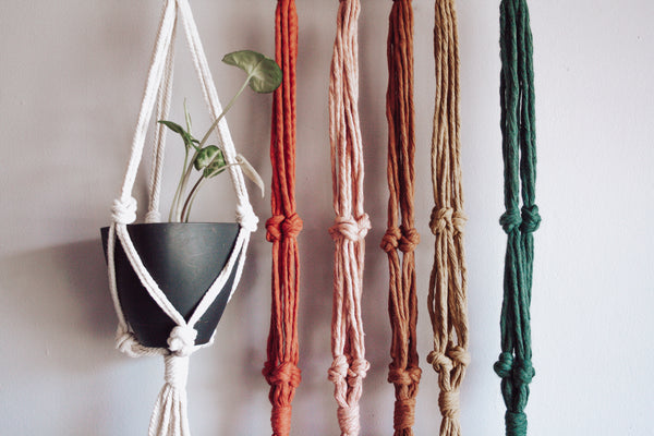 Knotted Small Macramé Plant Hanger