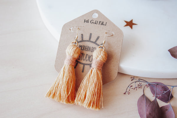 Desert Vibes Tassel Earring