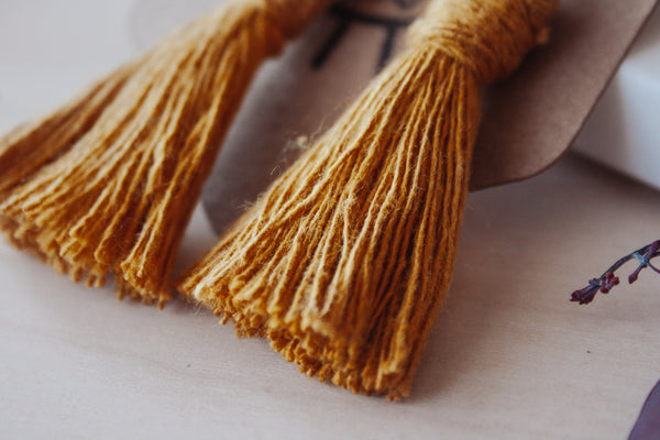 Desert Vibes Tassel Earring