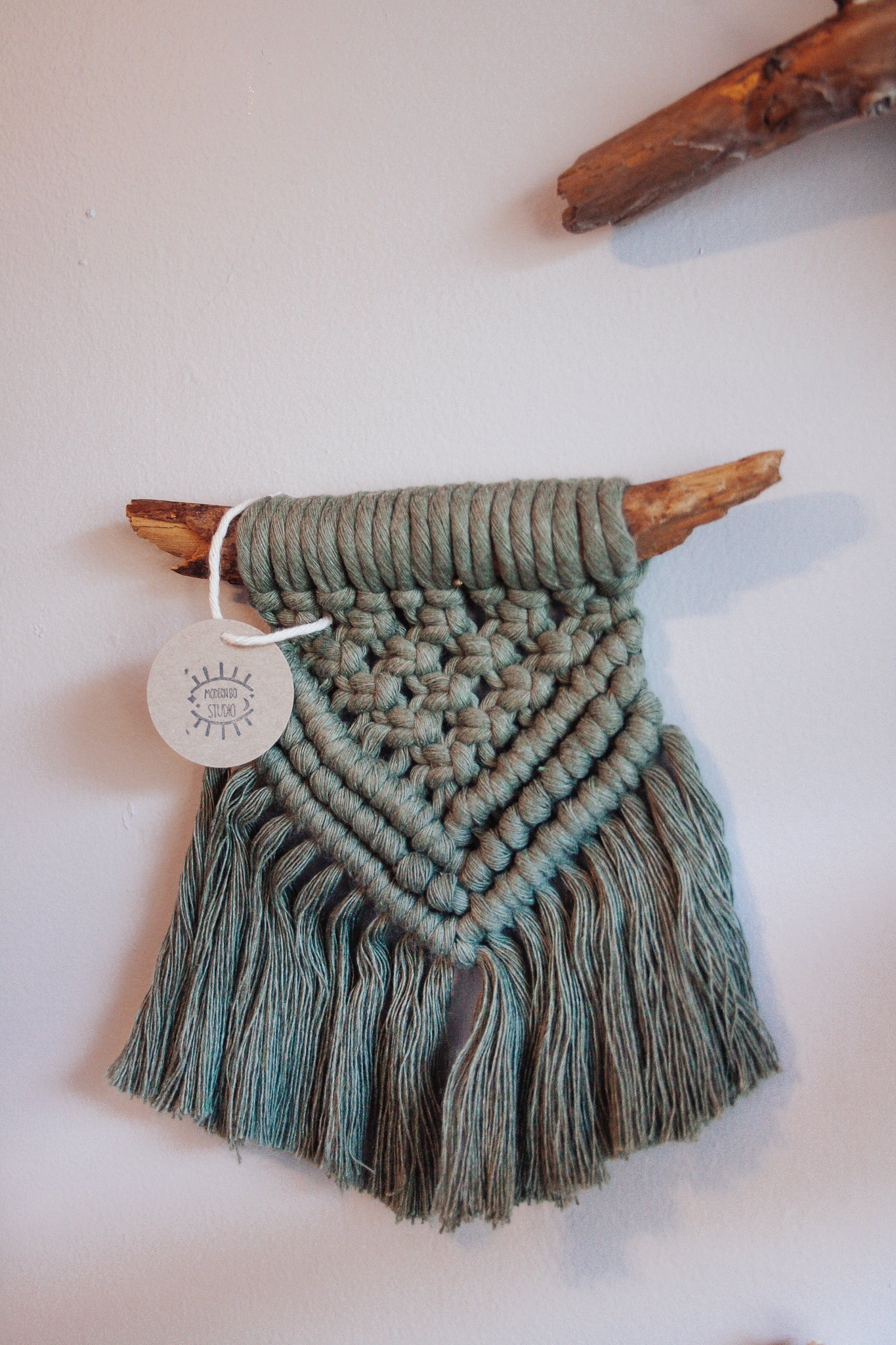 Mini Eucalyptus Macrame Wall Hanging