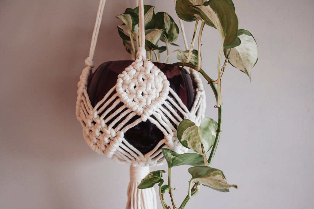 diamond macrame plant hanger Diamond Basket Macramé Plant Hanger – Modern Bo Studio