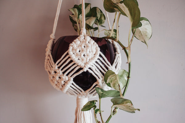 Diamond Basket Macramé Plant Hanger