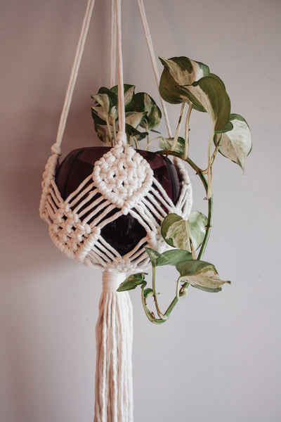 Diamond Basket Macramé Plant Hanger