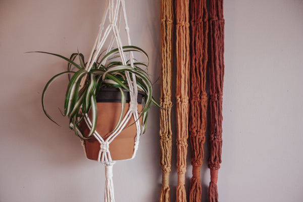 Vibes Macrame Plant Hanger