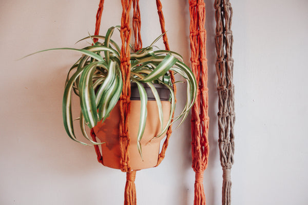 Chain Macrame Plant Hanger