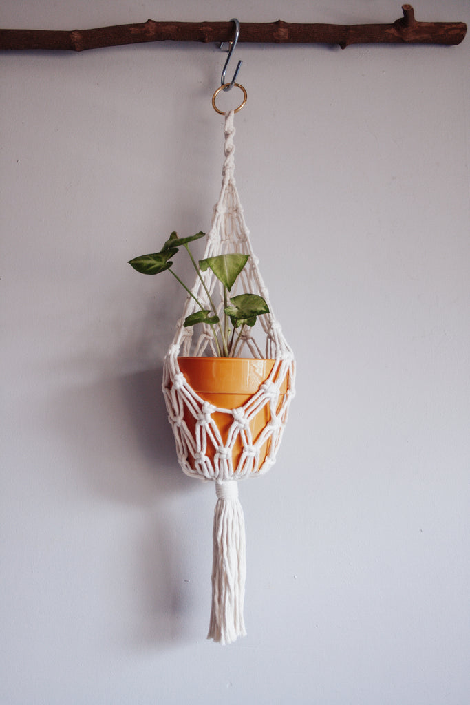 modern macrame plant hanger Nested Macramé Plant Hanger Knotted Cotton Cord – Modern Bo Studio