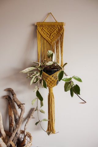 Mustard Wall Plant Hanger