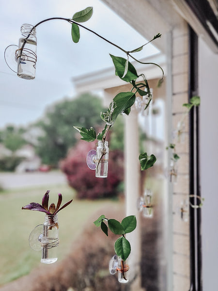 Propagation Station Window Tubes - Set of Four